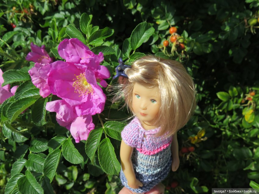 Kidz n Cats minis в Кронштадте