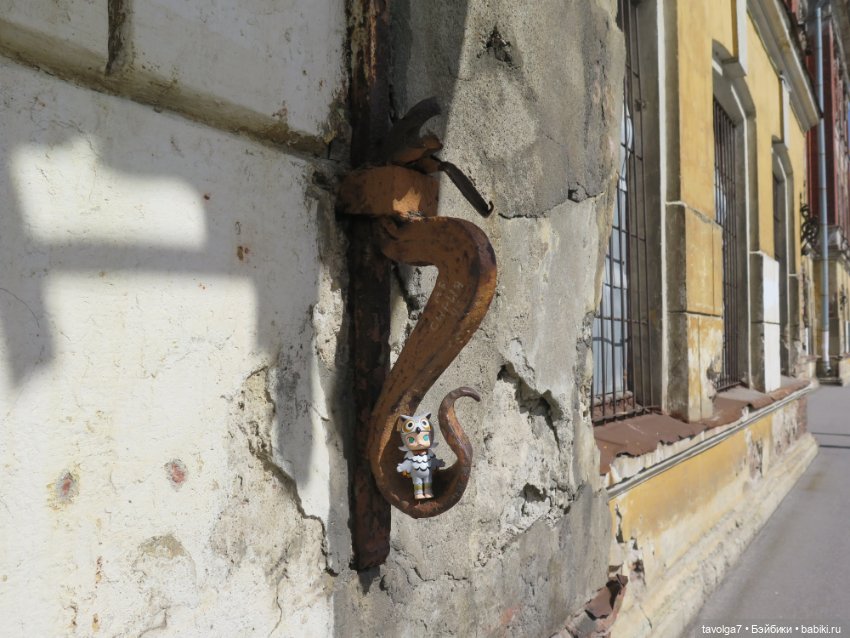 Kidz n Cats minis в Кронштадте