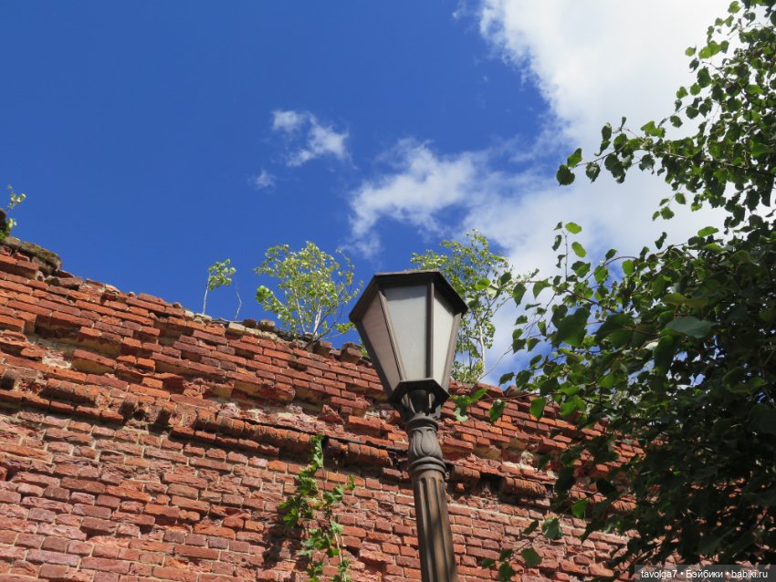 Kidz n Cats minis в Кронштадте