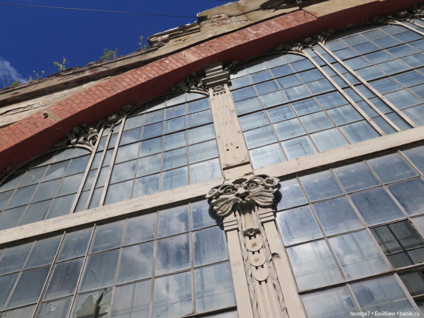 Kidz n Cats minis в Кронштадте