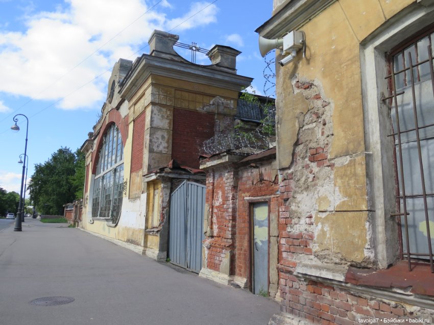 Kidz n Cats minis в Кронштадте