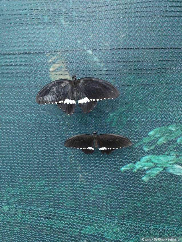 Отпуск во Владивостоке (часть 1)