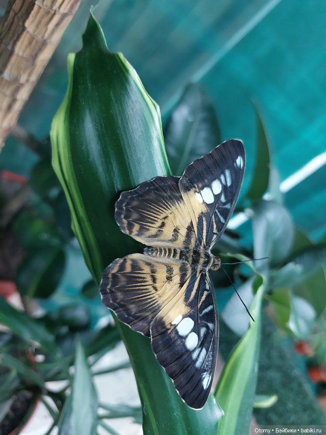 Отпуск во Владивостоке (часть 1)