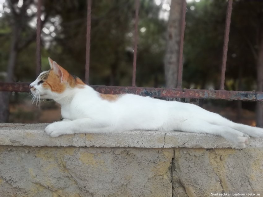 Красивые фото из отпуска — Туризм и путешествия: фотоотчеты из поездок