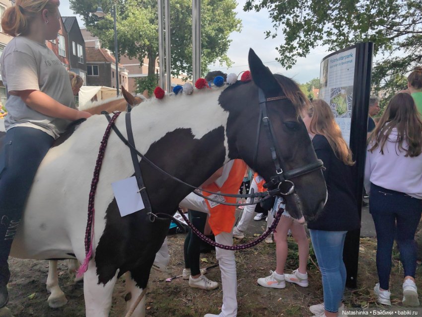 Музыкальная История 26 — Туризм и путешествия: фотоотчеты из поездок
