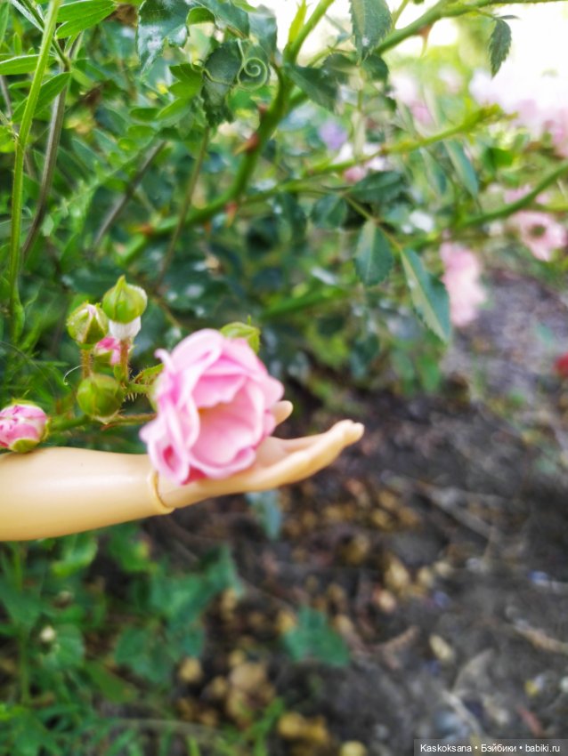 Розы для Джульетты — Куклы Barbie (Барби): Looks