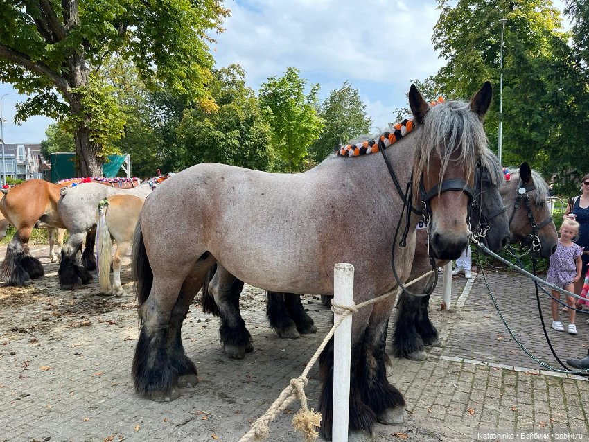 Музыкальная История 26 — Туризм и путешествия: фотоотчеты из поездок (фото 9)
