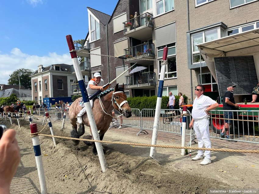 Музыкальная История 26 — Туризм и путешествия: фотоотчеты из поездок (фото 6)