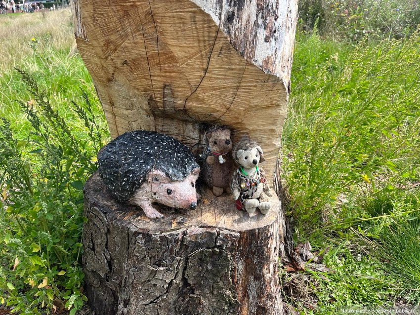 Музыкальная История 26 — Туризм и путешествия: фотоотчеты из поездок (фото 2)