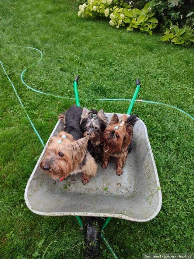 Мужские выходные — Авторские шарнирные куклы своими руками: лепка