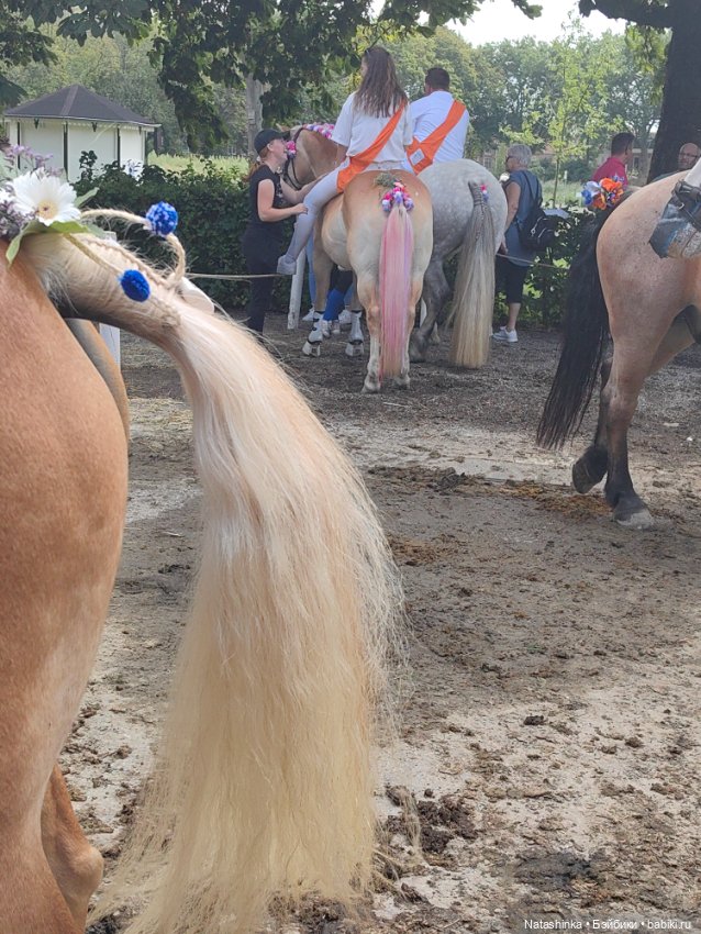 Музыкальная История 26 — Туризм и путешествия: фотоотчеты из поездок (фото 8)