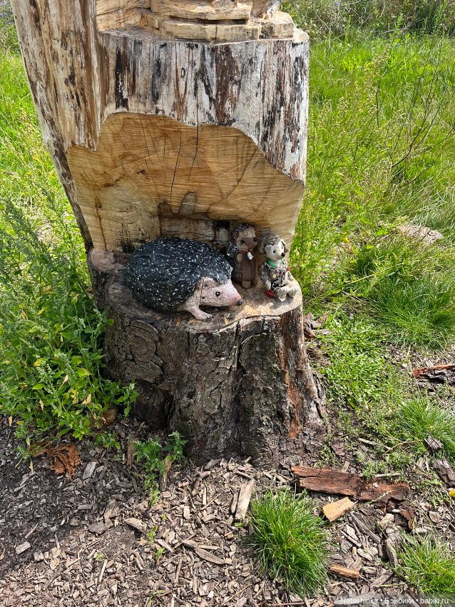 Музыкальная История 26 — Туризм и путешествия: фотоотчеты из поездок (фото 3)