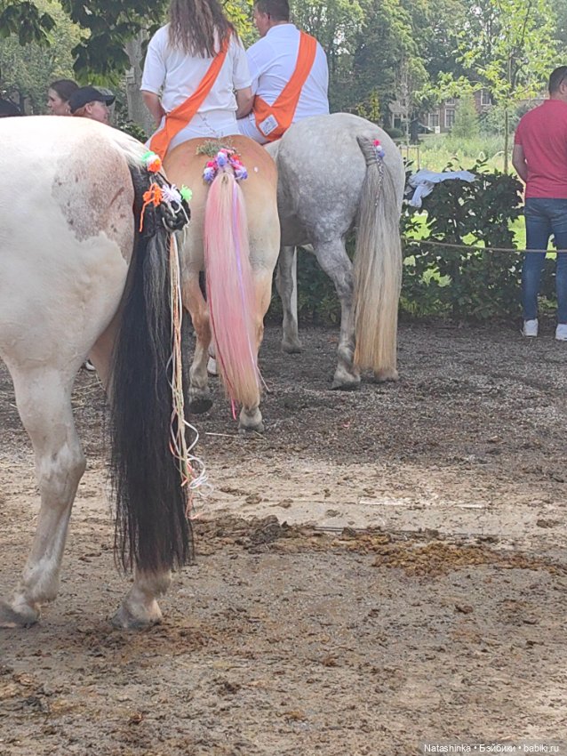 Музыкальная История 26 — Туризм и путешествия: фотоотчеты из поездок