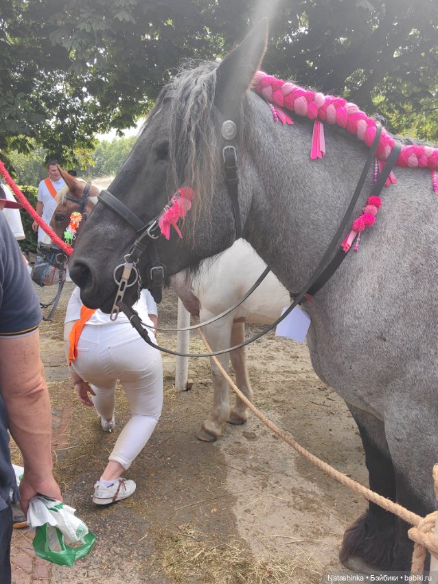 Музыкальная История 26 — Туризм и путешествия: фотоотчеты из поездок