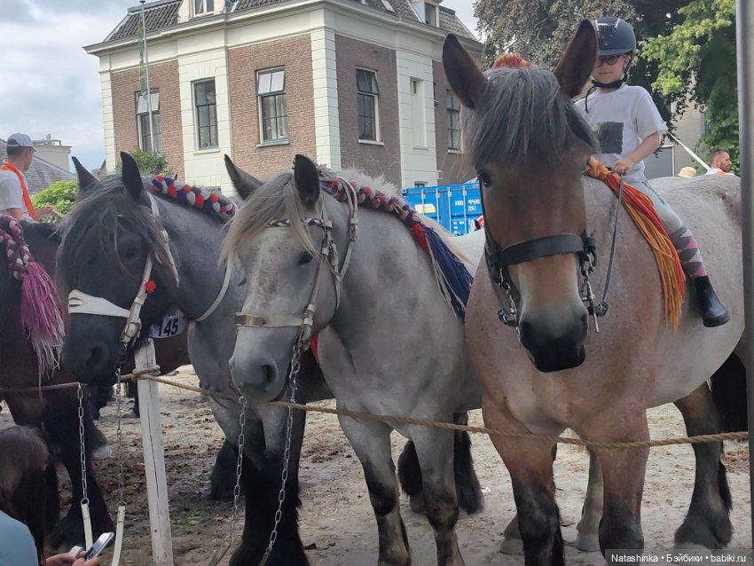 Музыкальная История 26 — Туризм и путешествия: фотоотчеты из поездок