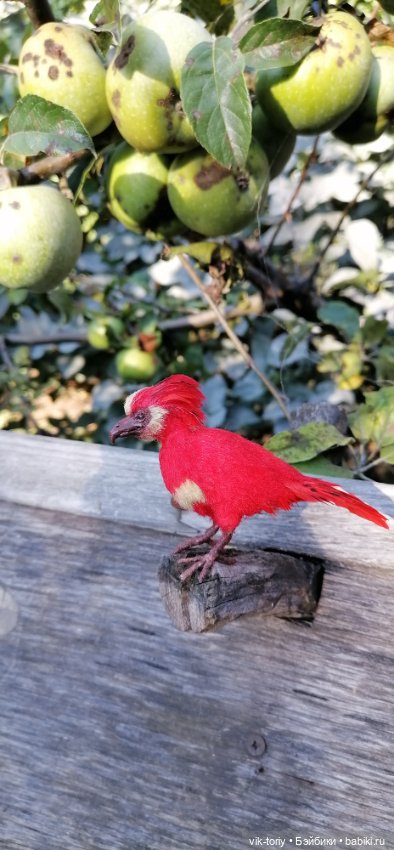 Феникс... Продолжение — Авторские игрушки из разных материалов: синельная проволока (фото 5)