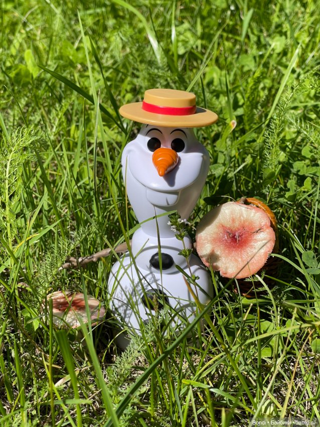 Олаф и лето — Игровые куклы разных производителей (Разное): редкие бренды (фото 6)