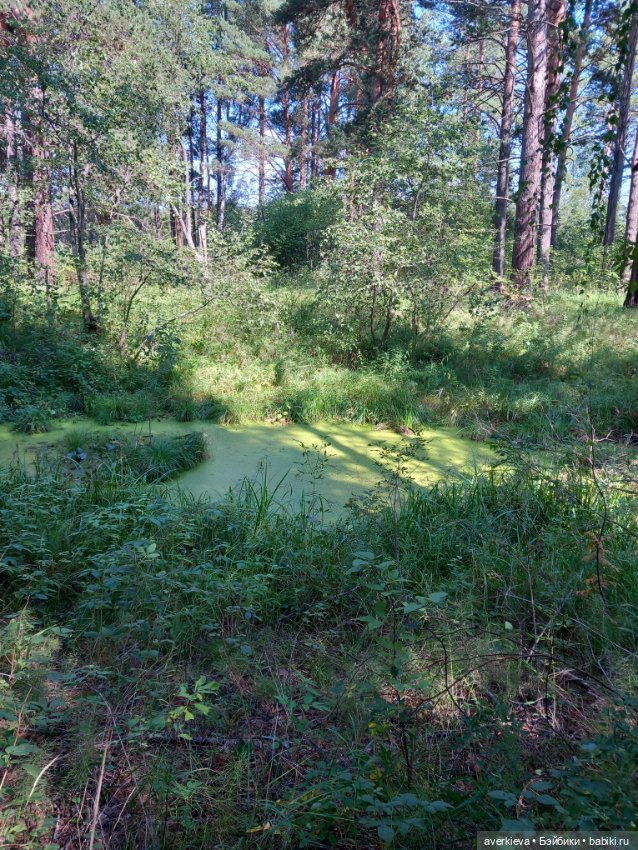 Ну какова красота — Интересные игрушки и фигурки (разное): редкие (фото 5)