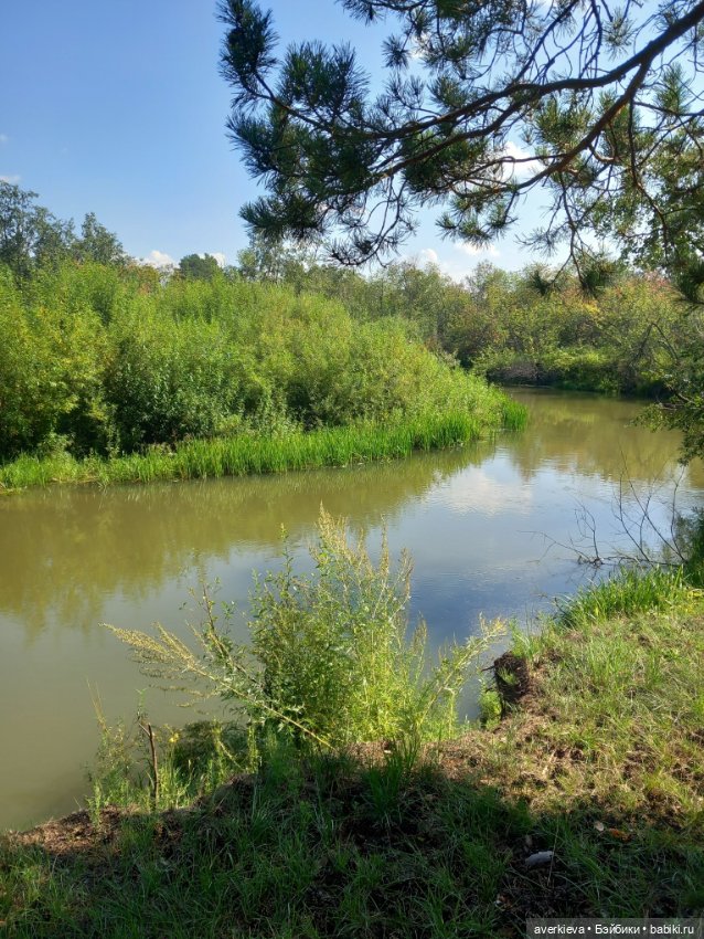 Ну какова красота — Интересные игрушки и фигурки (разное): редкие (фото 6)