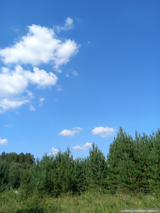 Ну какова красота — Интересные игрушки и фигурки (разное): редкие