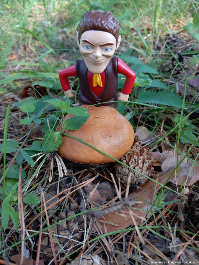 Ну какова красота — Интересные игрушки и фигурки (разное): редкие (фото 3)