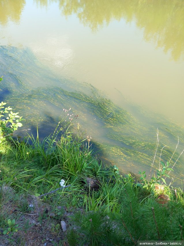 Ну какова красота — Интересные игрушки и фигурки (разное): редкие (фото 8)