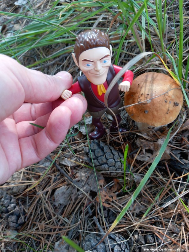 Ну какова красота — Интересные игрушки и фигурки (разное): редкие