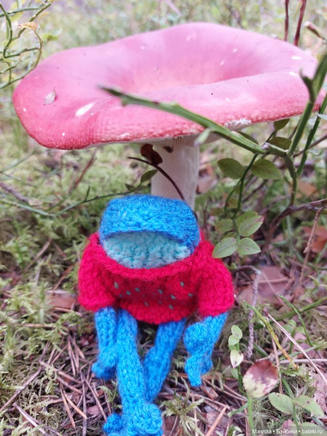 Один день из жизни Квакшена (фото 6)