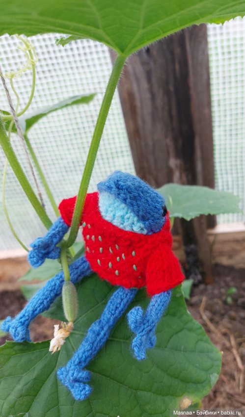 Один день из жизни Квакшена (фото 3)