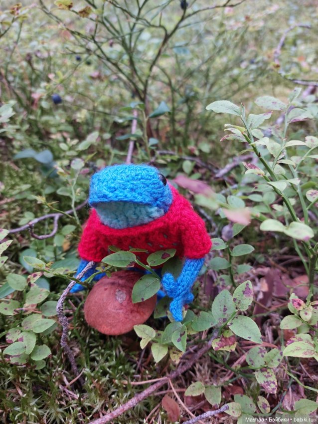 Один день из жизни Квакшена (фото 8)