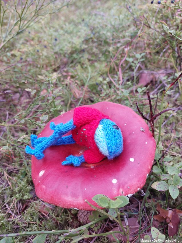 Один день из жизни Квакшена (фото 7)