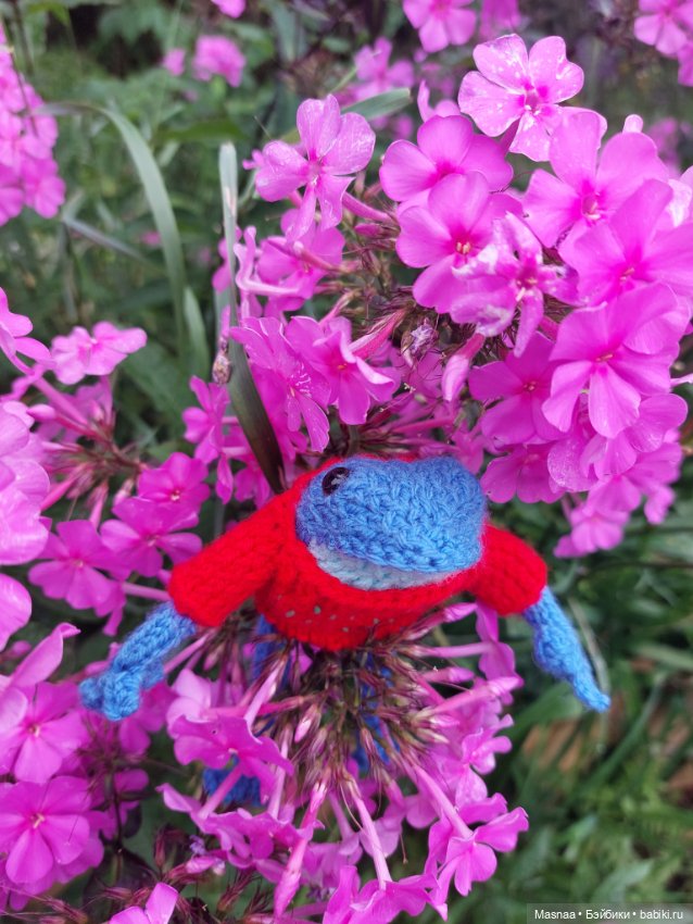 Один день из жизни Квакшена