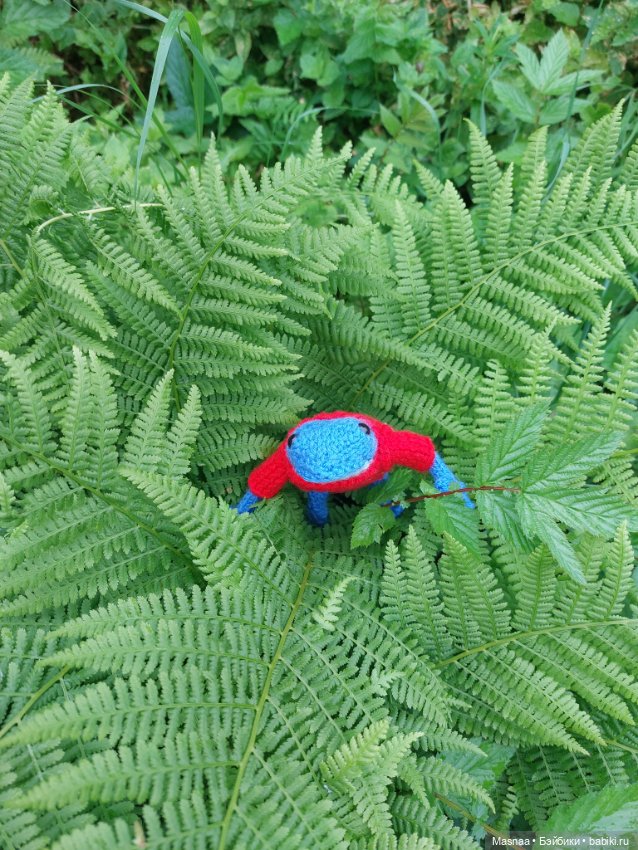 Один день из жизни Квакшена (фото 4)