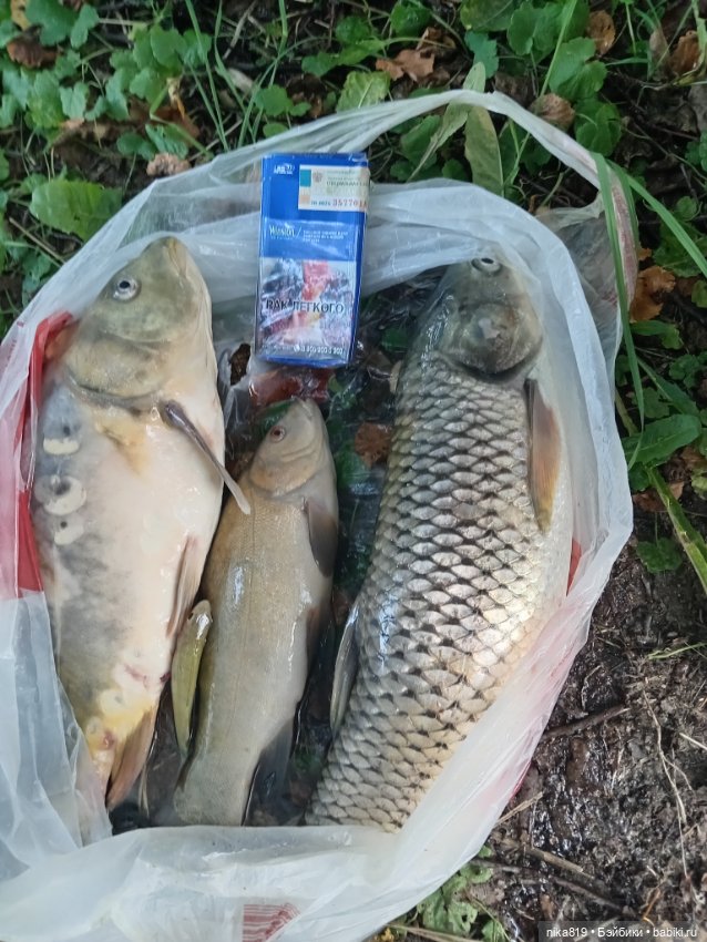 На рыбалку — Куклы Baboliy (Баболи (фото 8)