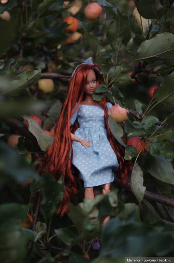 Рыжуля Танюша — Аналоги Барби и куклы 1/6: клоны 90