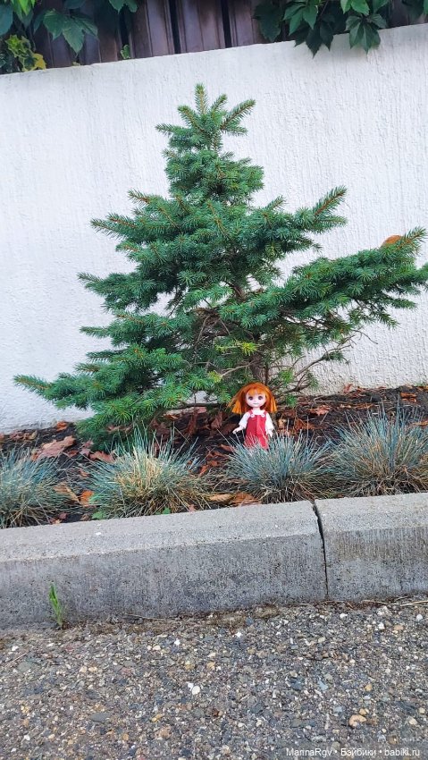 Прогулка-путешествие маленькой компании