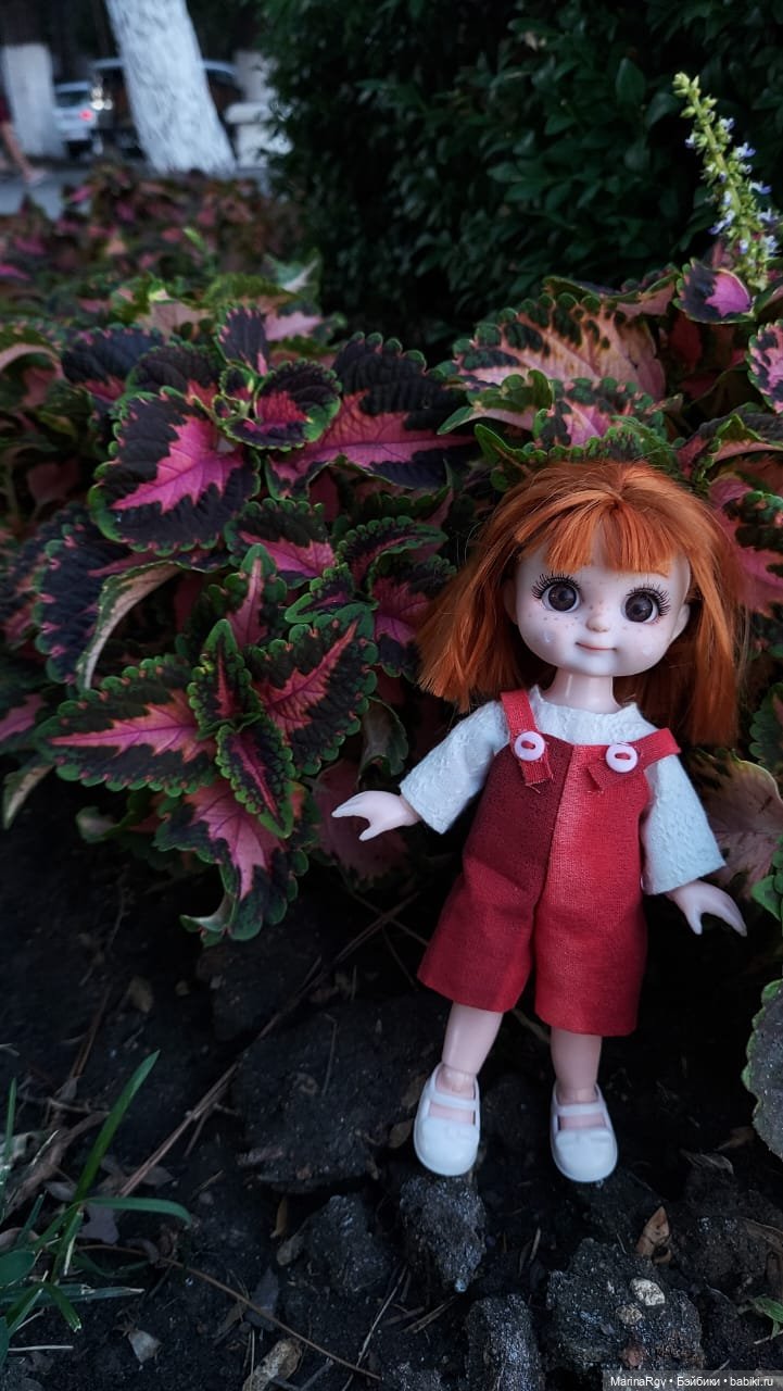 Прогулка-путешествие маленькой компании (фото 4)