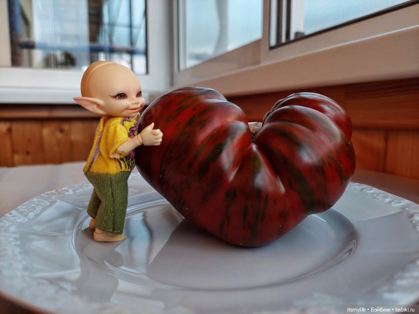 Сёмик и Амурский тигррррр 🐯 (фото 2)