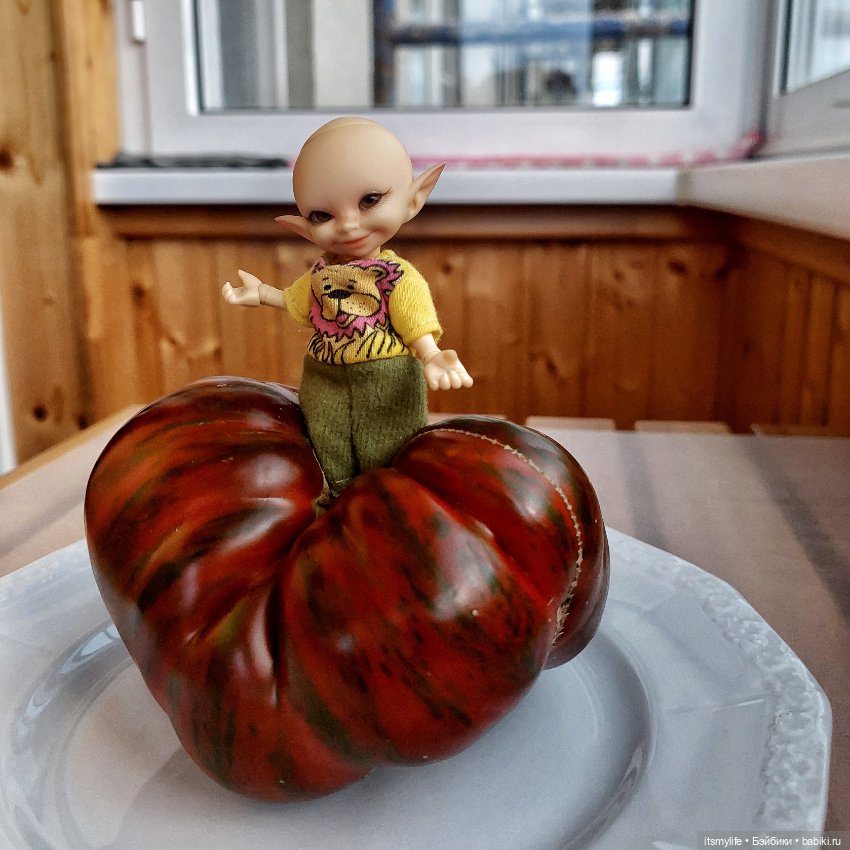 Сёмик и Амурский тигррррр 🐯 (фото 8)