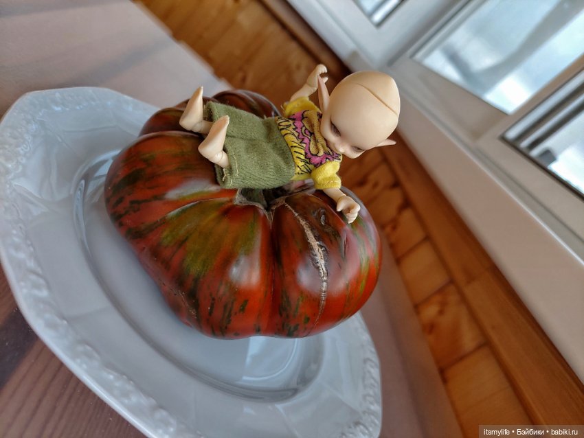 Сёмик и Амурский тигррррр 🐯 (фото 6)