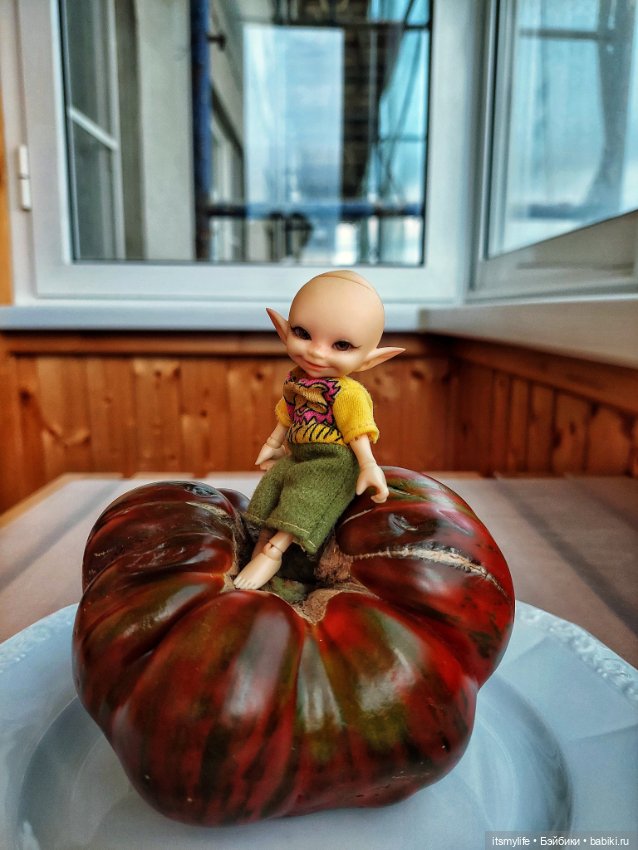 Сёмик и Амурский тигррррр 🐯 (фото 9)