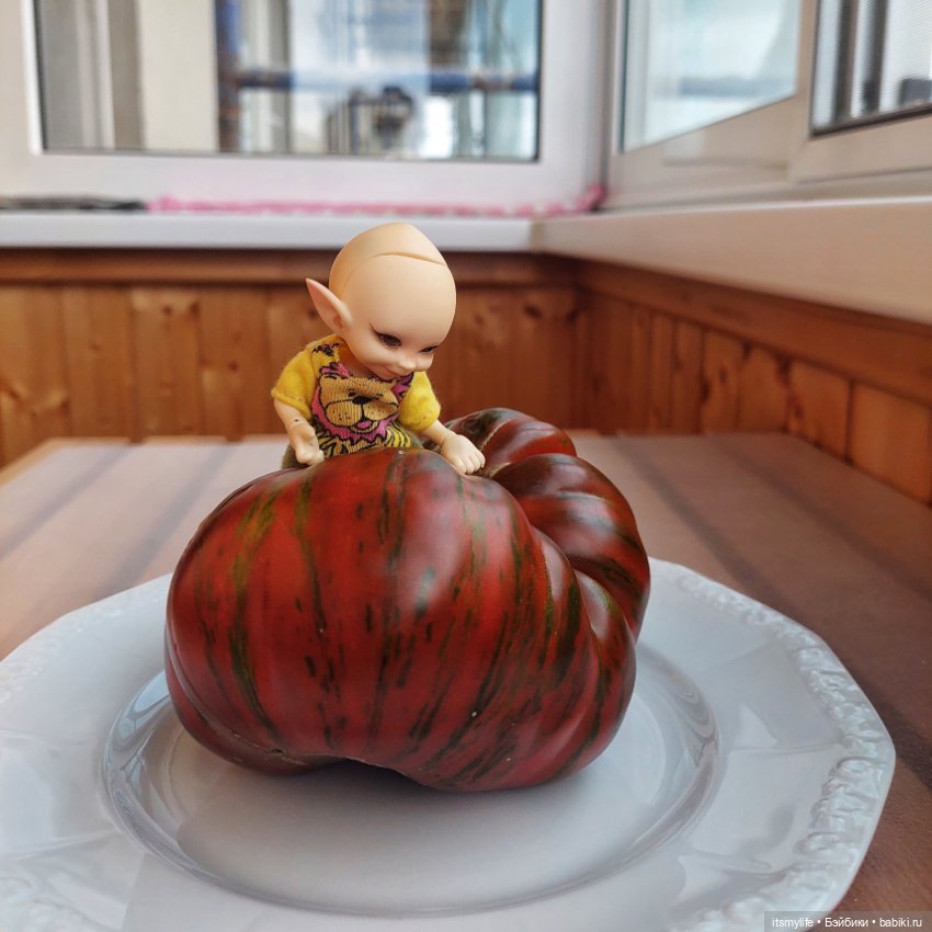 Сёмик и Амурский тигррррр 🐯 (фото 3)