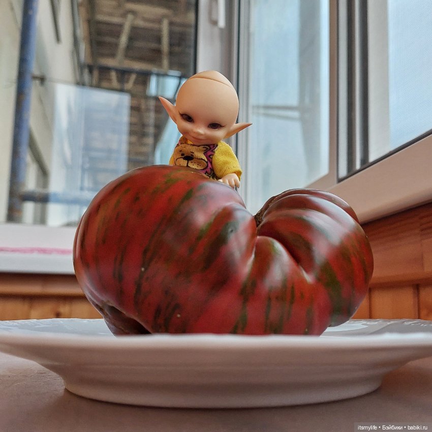 Сёмик и Амурский тигррррр 🐯 (фото 4)