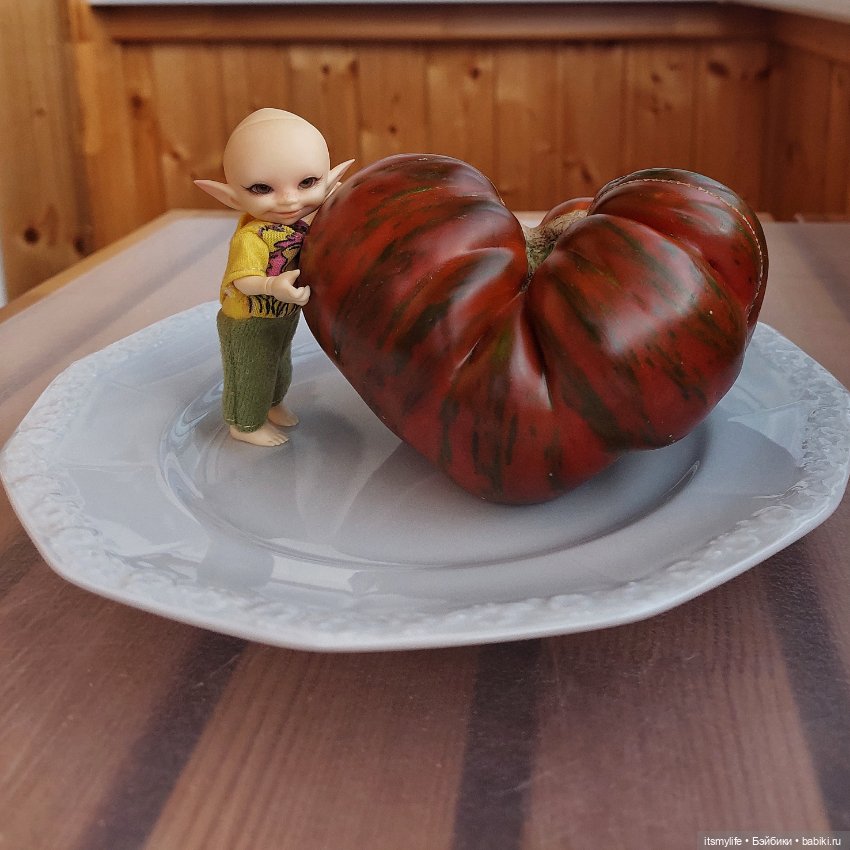 Сёмик и Амурский тигррррр 🐯