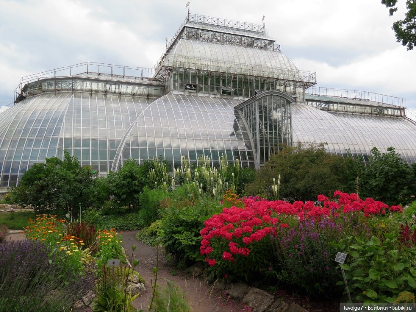 Kidz n Cats minis в Ботсаду Петра Великого (фото 7)