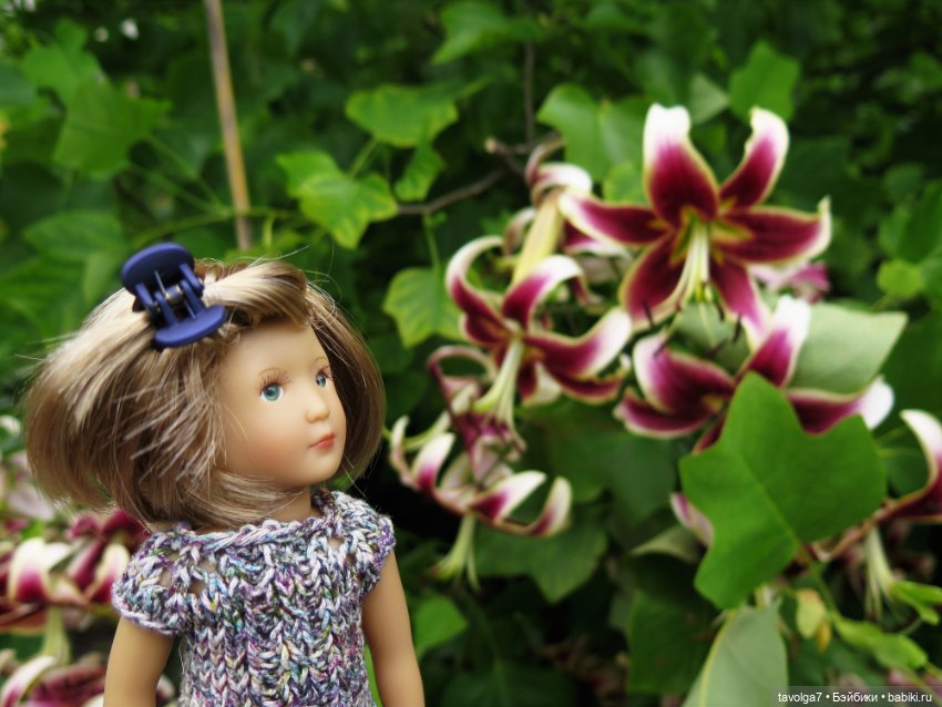 Kidz n Cats minis в Ботсаду Петра Великого (фото 5)