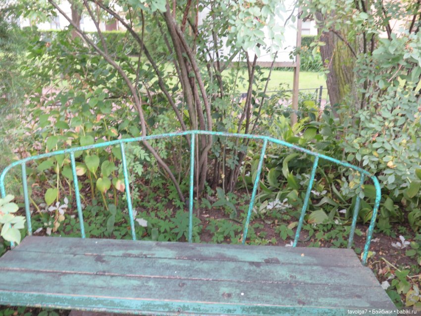 Kidz n Cats minis в Ботсаду Петра Великого