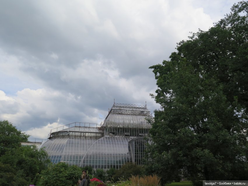 Kidz n Cats minis в Ботсаду Петра Великого