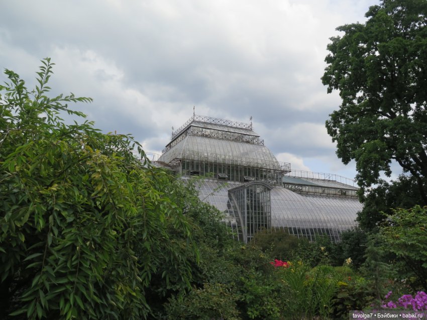 Kidz n Cats minis в Ботсаду Петра Великого (фото 2)