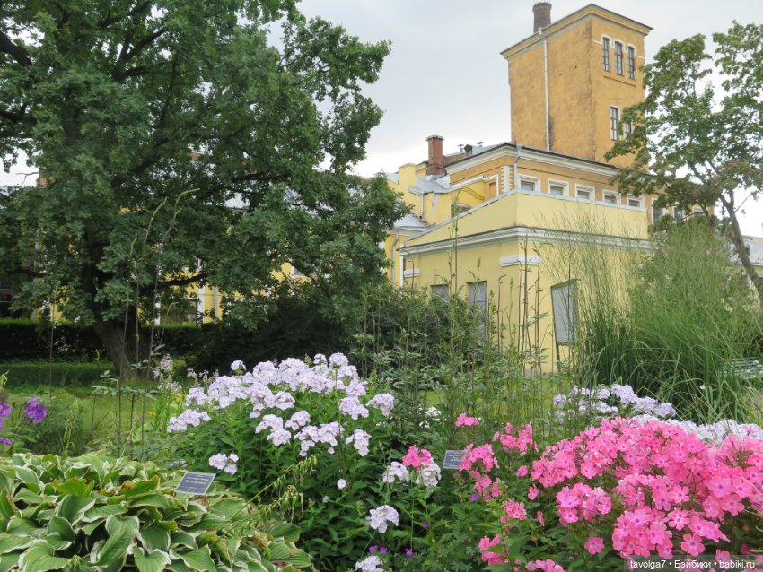 Kidz n Cats minis в Ботсаду Петра Великого